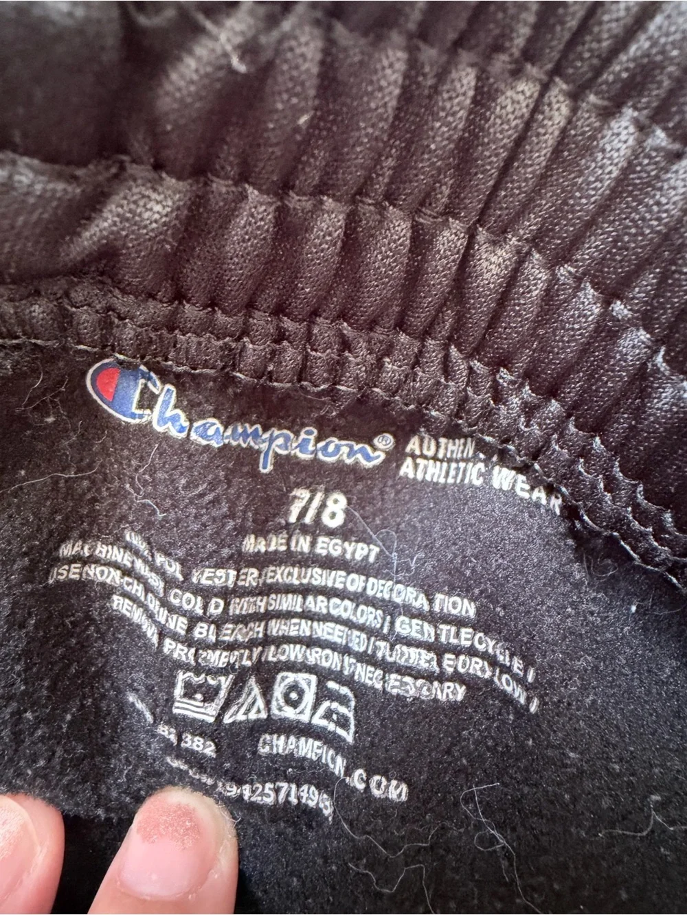 Champion Black Pullover Hoodie with Small Red & Blue Logo